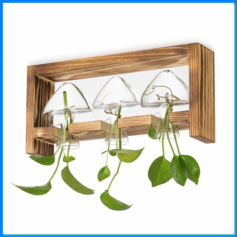 Propagation Station Vase - 식물용 유리 번식 스테이션: 거실 사무실