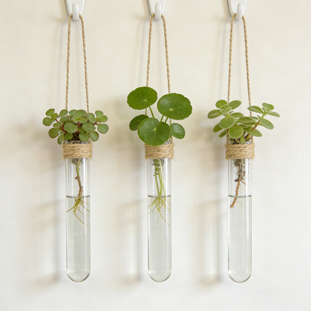 Propagation Station Vase - 수경 재배 꽃병 벽걸이 시험관 화병