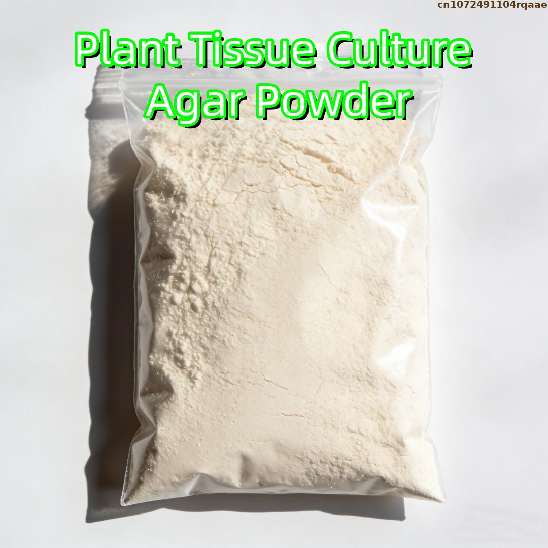 Agar Tissue Culture - 프리미엄 식물 조직 배양 아가르 분말,