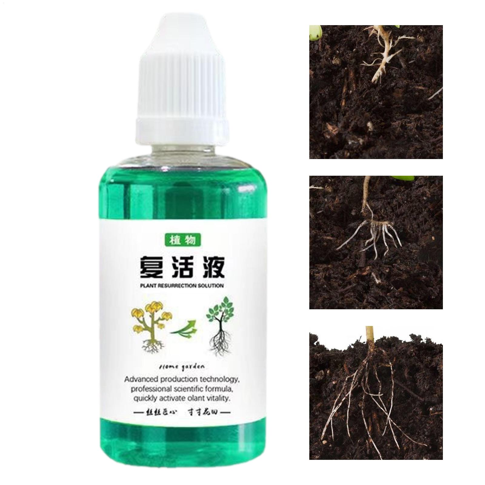 Root Stimulator Liquid - 식물용 뿌리 자극제 50ml 식물 성장
