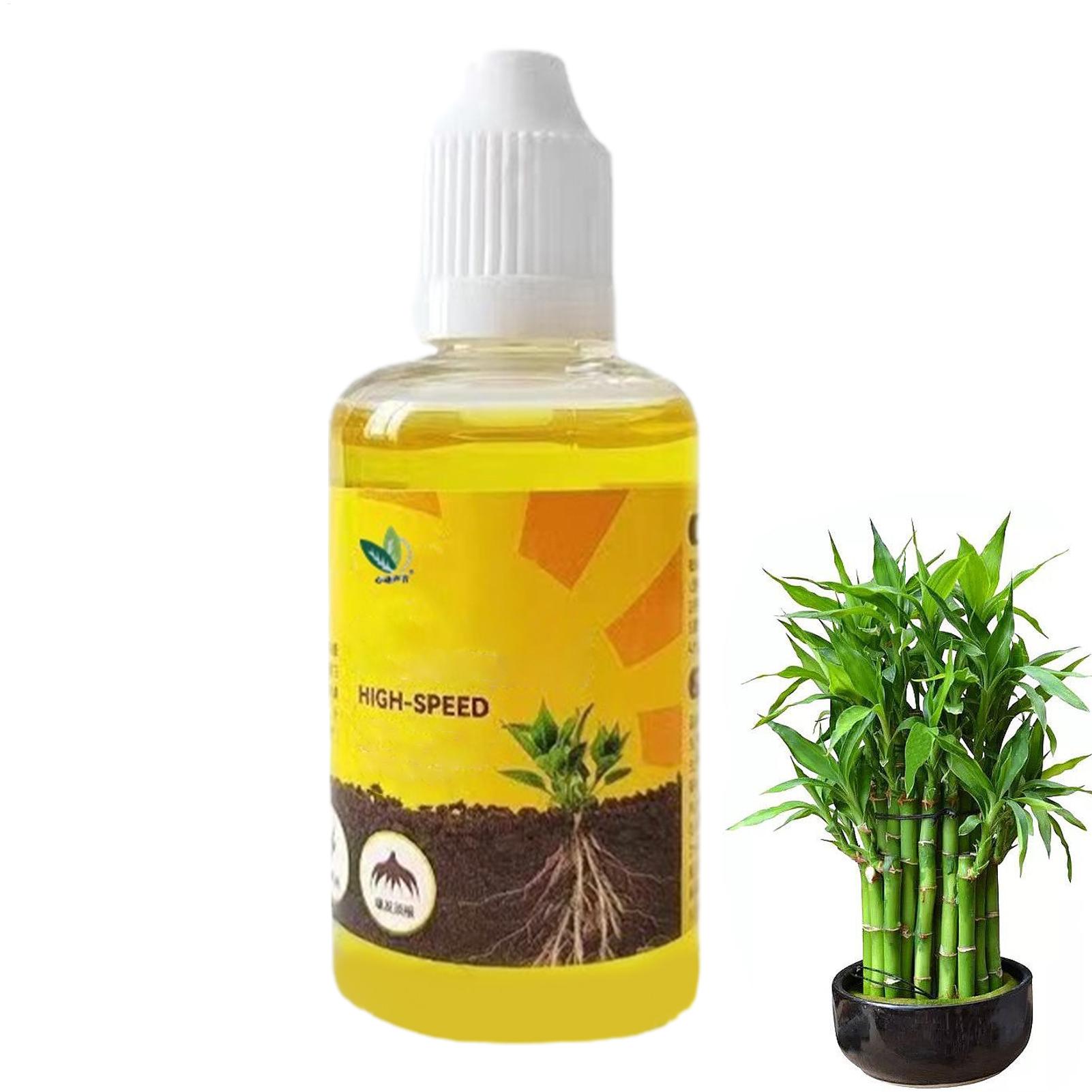 Root Stimulator Liquid - 50ml 식물 뿌리 자극제 액체 식물