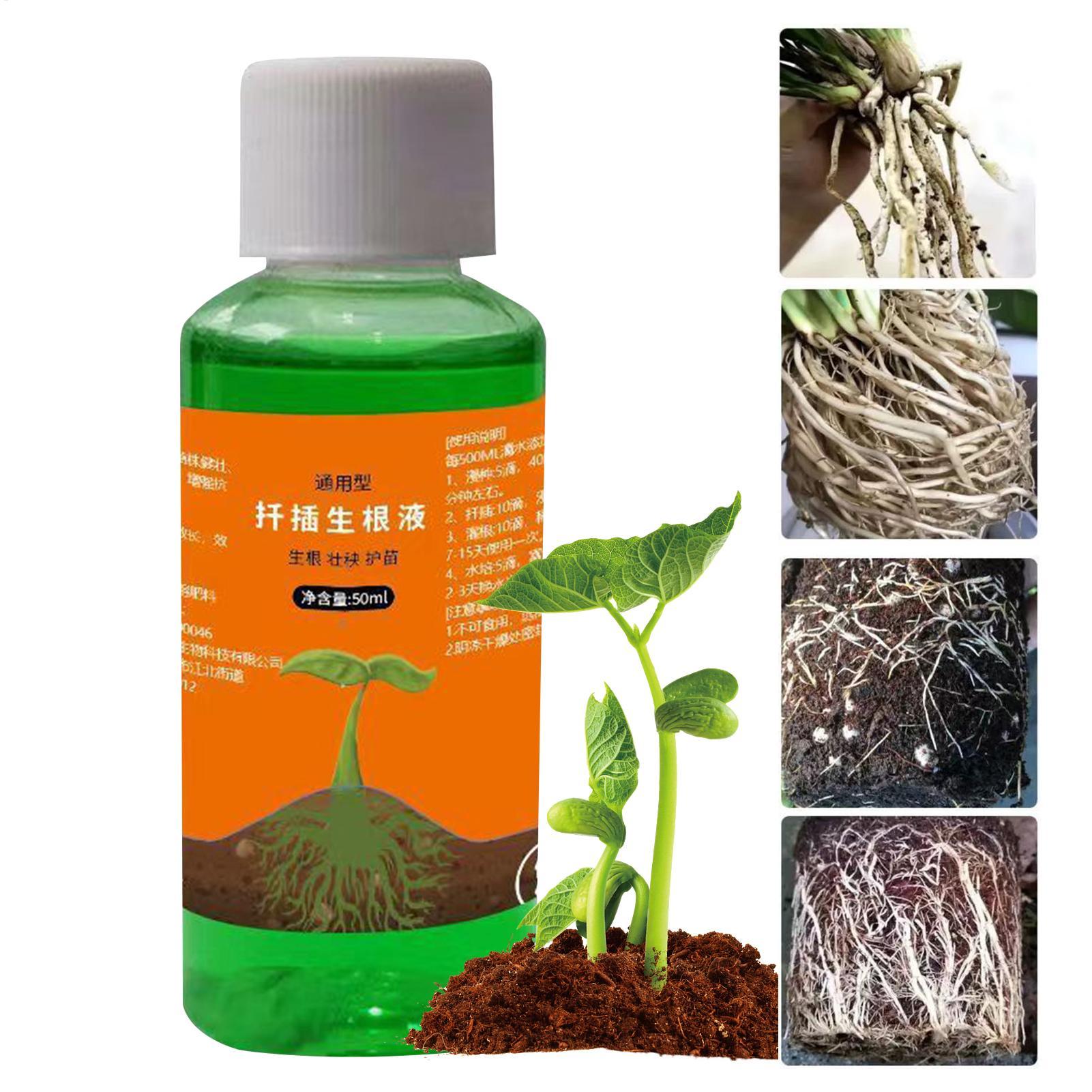 Root Stimulator Liquid - 식물 절단용 고효율 뿌리 자극제, 뿌리