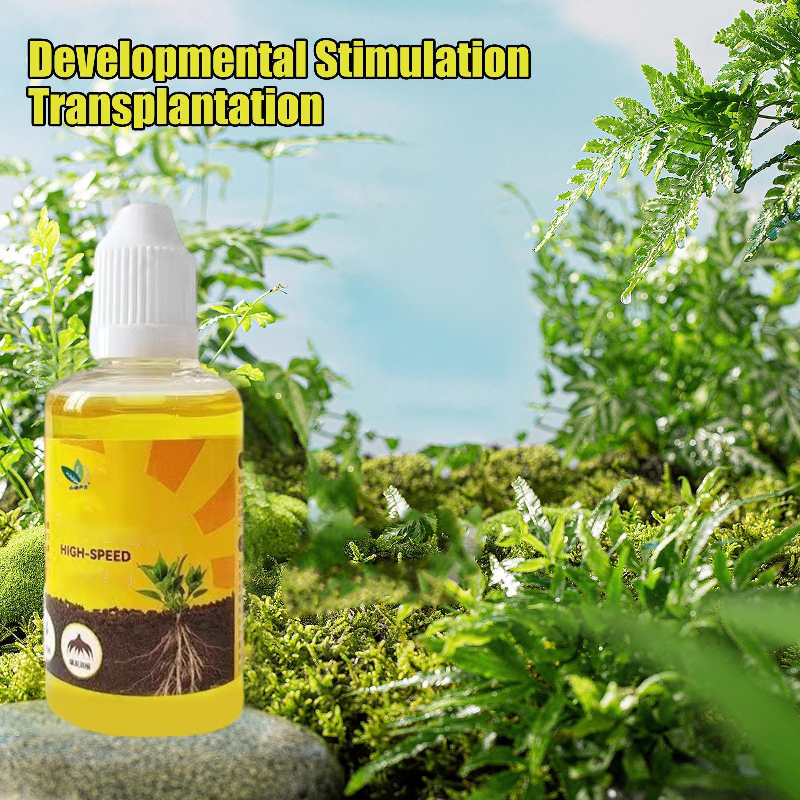 Root Stimulator Liquid - 식물 부활 액체 50ml 꽃 과일