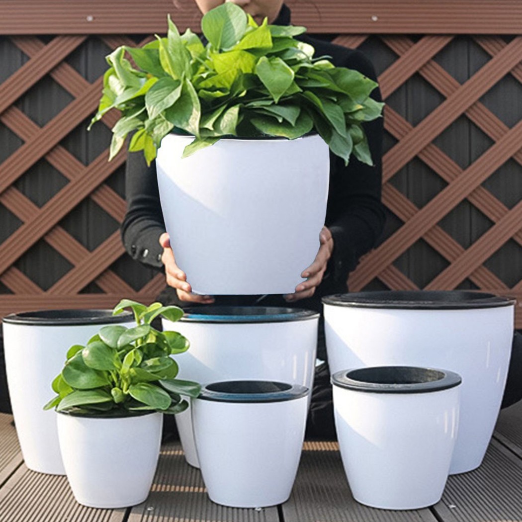 Self Watering Insert - 자동 급수 꽃 식물 화분, 레이지