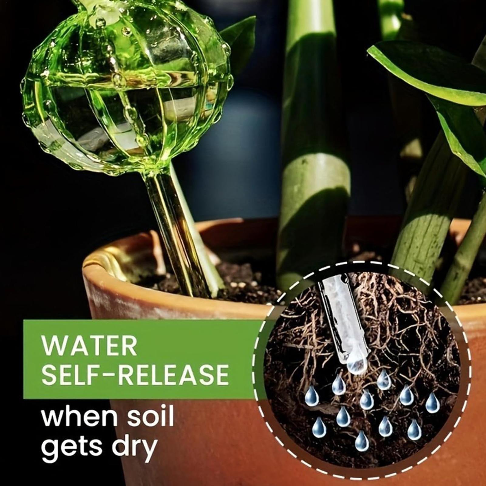 Self Watering Insert - 식물 급수 스테이크 3개, 느린 방출