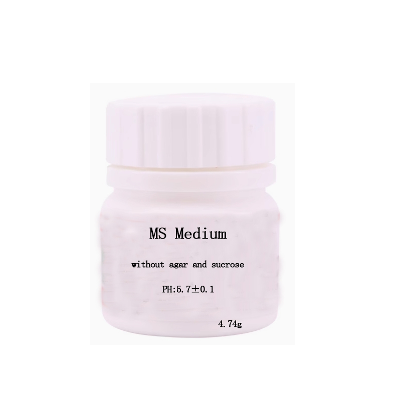MS 미디엄(아가르, 수크로스 없음) 식물 조직 배양  - Agar Tissue Culture 리뷰 및 가격