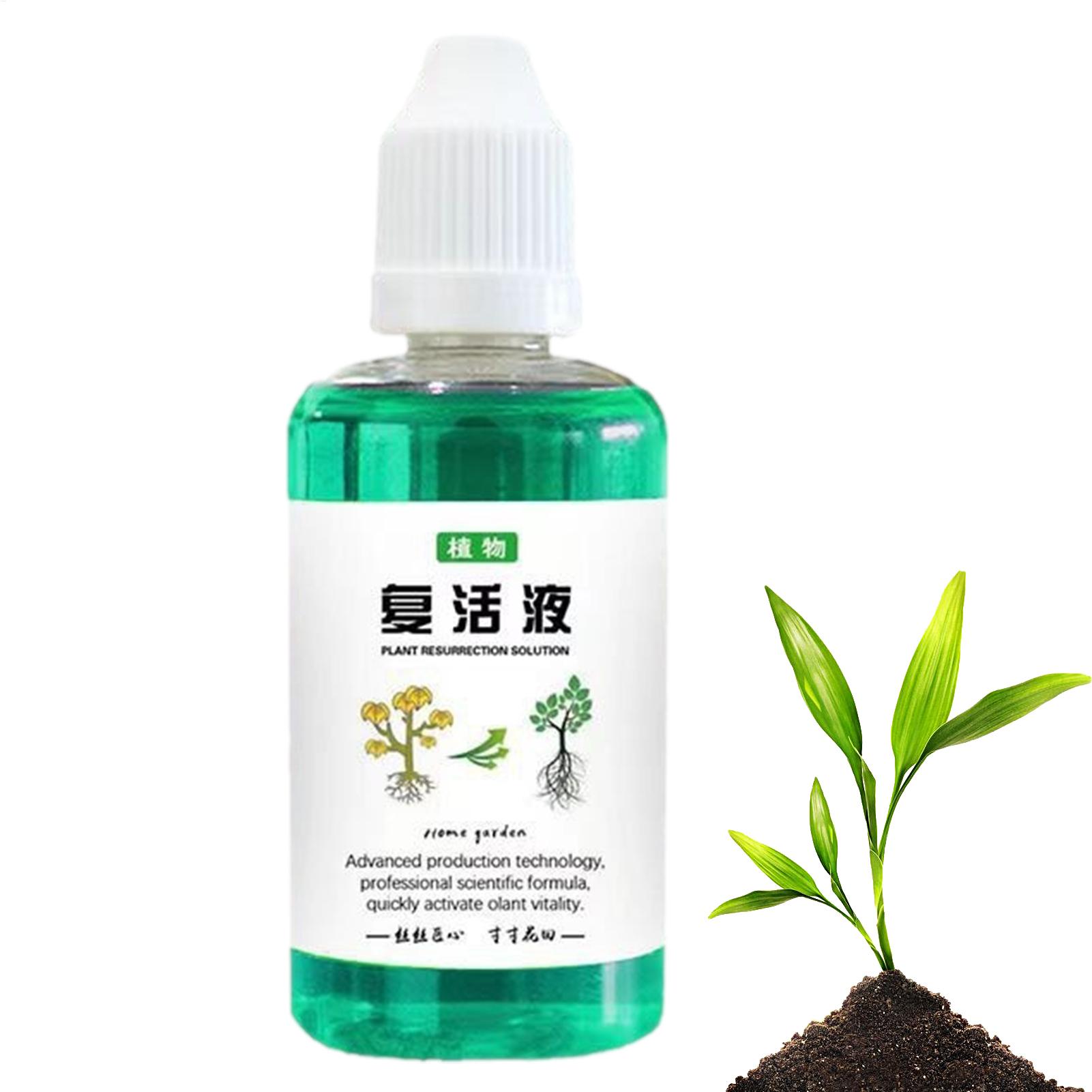 50ml 뿌리 활성제 식물 재생액 야채 비료 뿌리 강화 - Root Stimulator Liquid 리뷰 및 가격