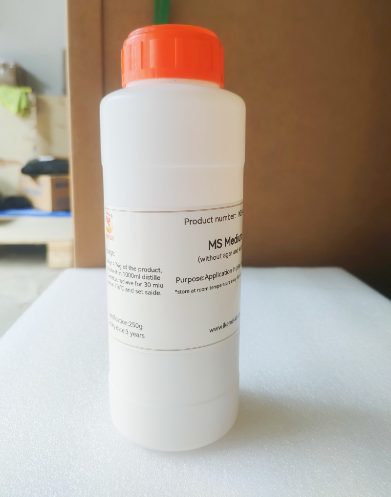 IKEME 한천 및 설탕이 없는 실험실 MS 배지, 식 - Agar Tissue Culture 리뷰 및 가격