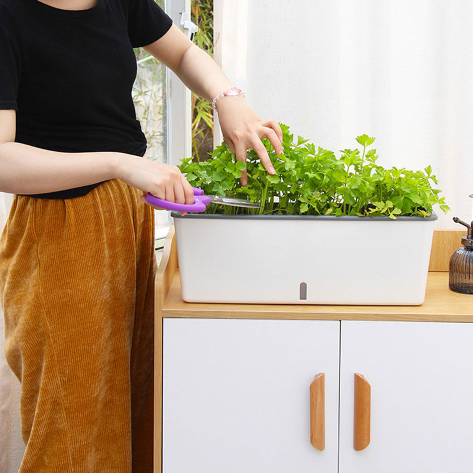 친구 가족 이웃을 위한 편리한 수위 표시기 선물이 포함 - Self Watering Insert 리뷰 및 가격