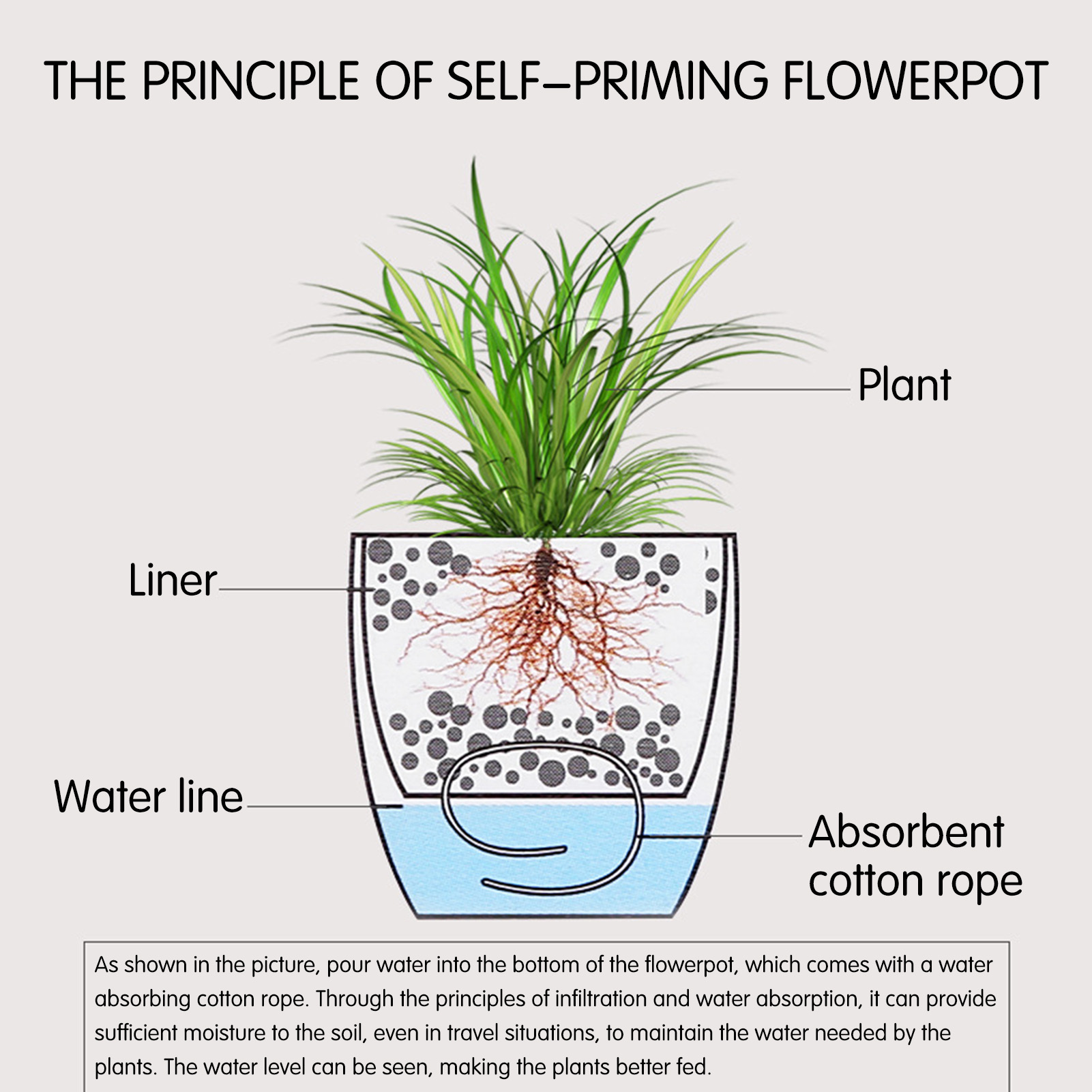 자동 급수 화분, 꽃 화분, 거실 장식 플라스틱 화분, - Self Watering Insert 리뷰 및 가격