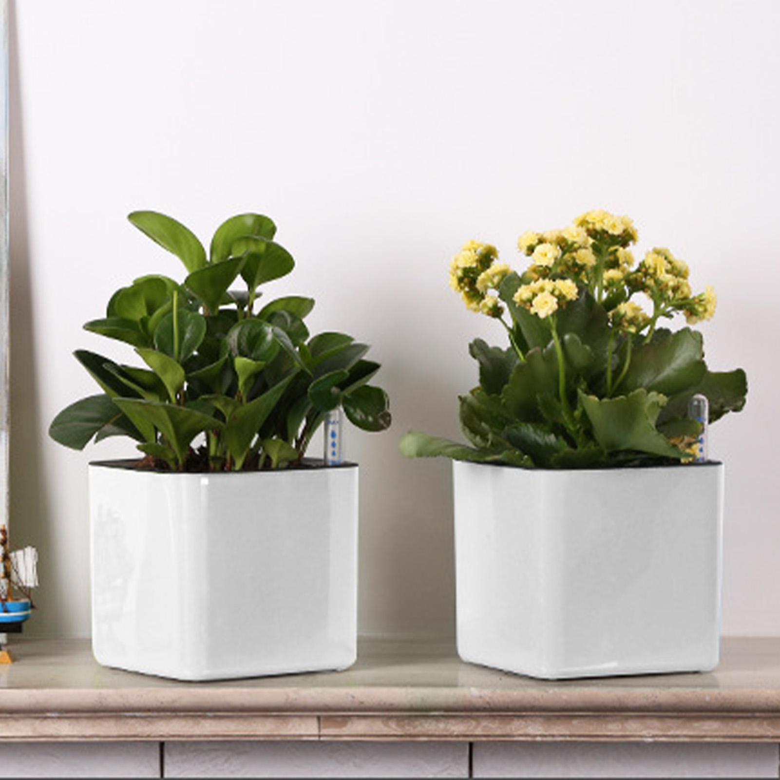 3가지 크기의 자동 급수 화분, 녹색 식물용 자동 흡수 - Self Watering Insert 리뷰 및 가격