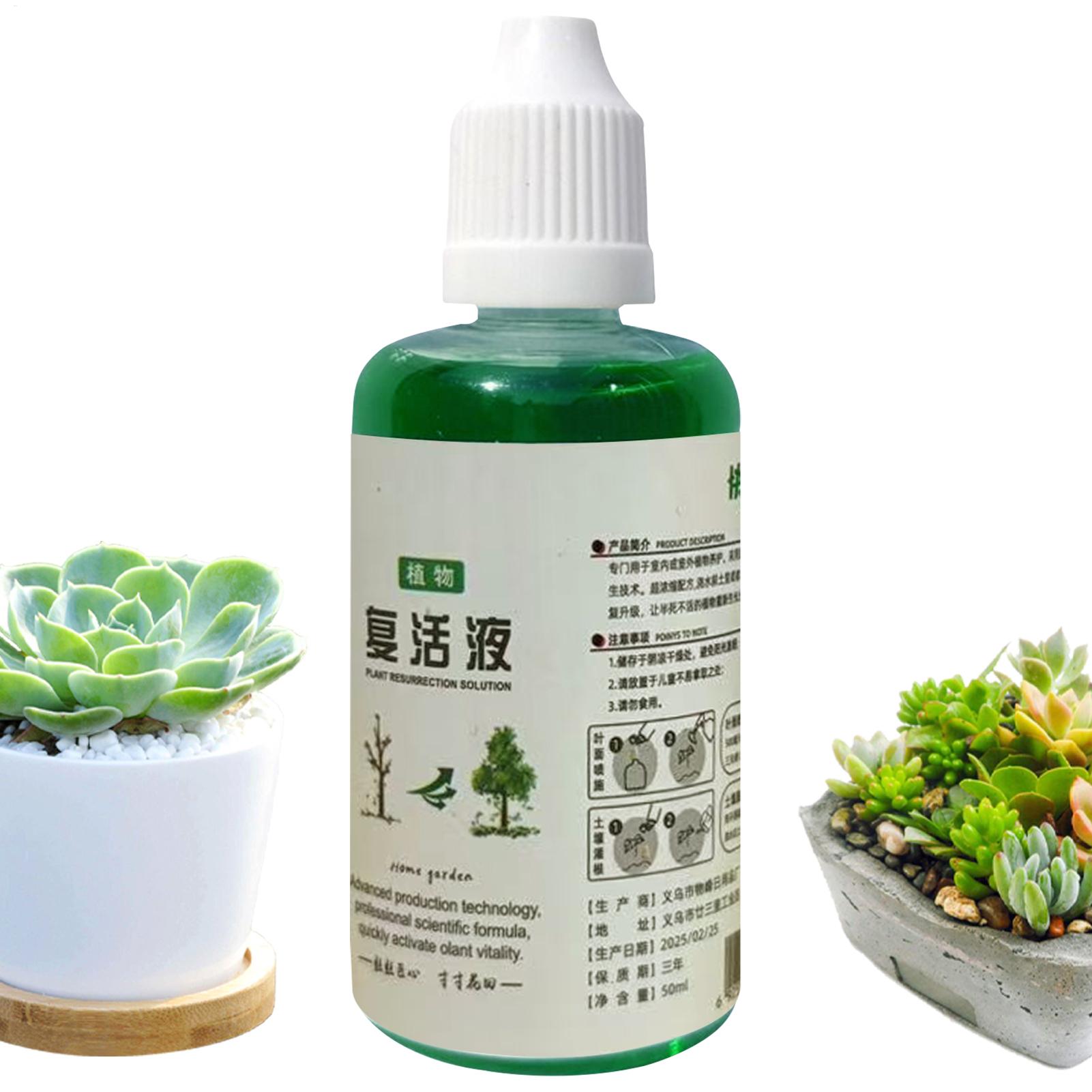 뿌리 자극제 식물 재생액 야채 비료 뿌리 강화제 과일  - Root Stimulator Liquid 리뷰 및 가격