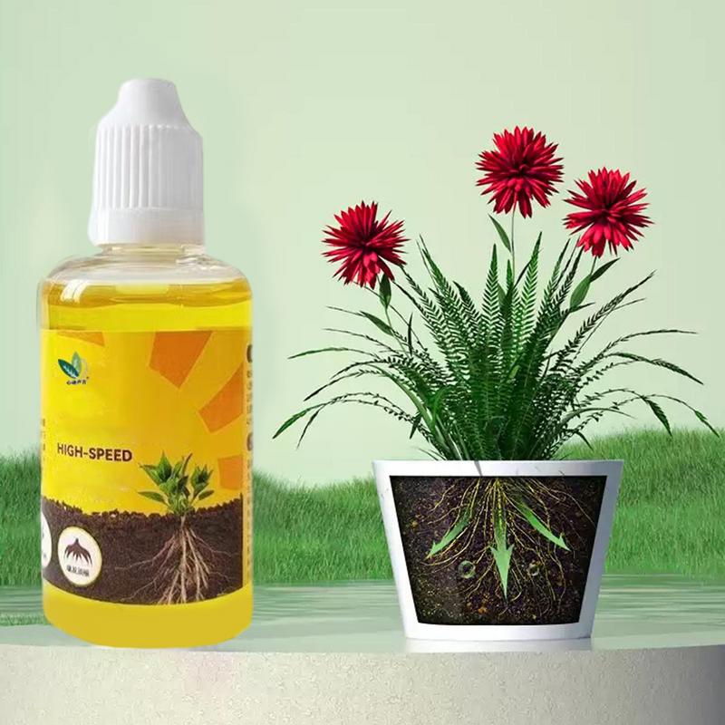 식물 뿌리 자극기 액체 절단 발근 자극기, 빠른 발근  - Root Stimulator Liquid 리뷰 및 가격