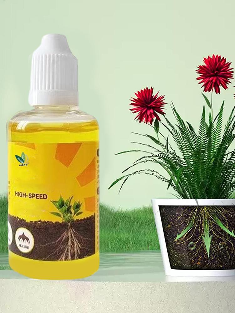 식물 뿌리 자극제 액상 식물 뿌리 강화제 액상 급속 뿌 - Root Stimulator Liquid 리뷰 및 가격