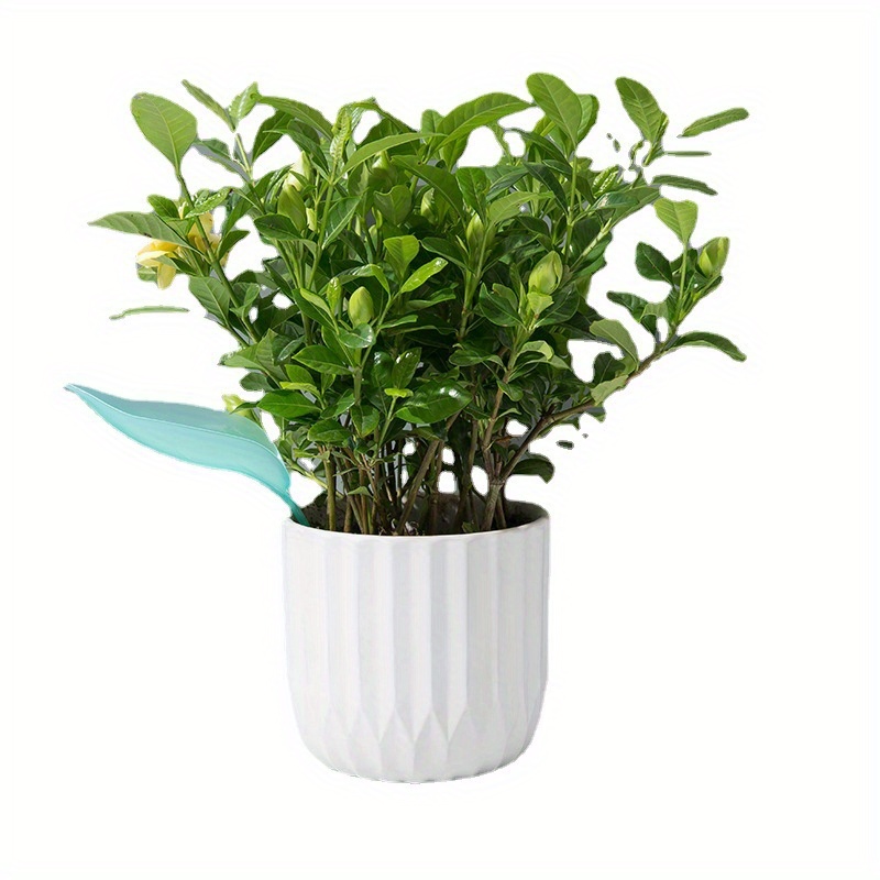 창의적인 화분용 잎사귀 모양 급수 깔때기, 식물 급수용 - Self Watering Insert 리뷰 및 가격