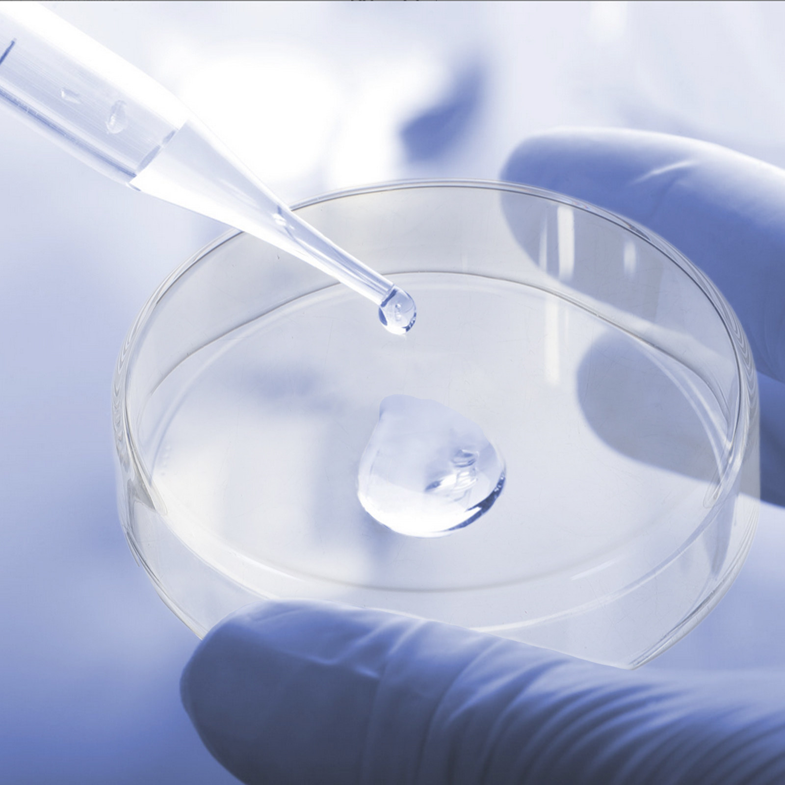 1세트 두꺼운 유리 페트리 접시, 미생물 세포 조직 배 - Agar Tissue Culture 리뷰 및 가격