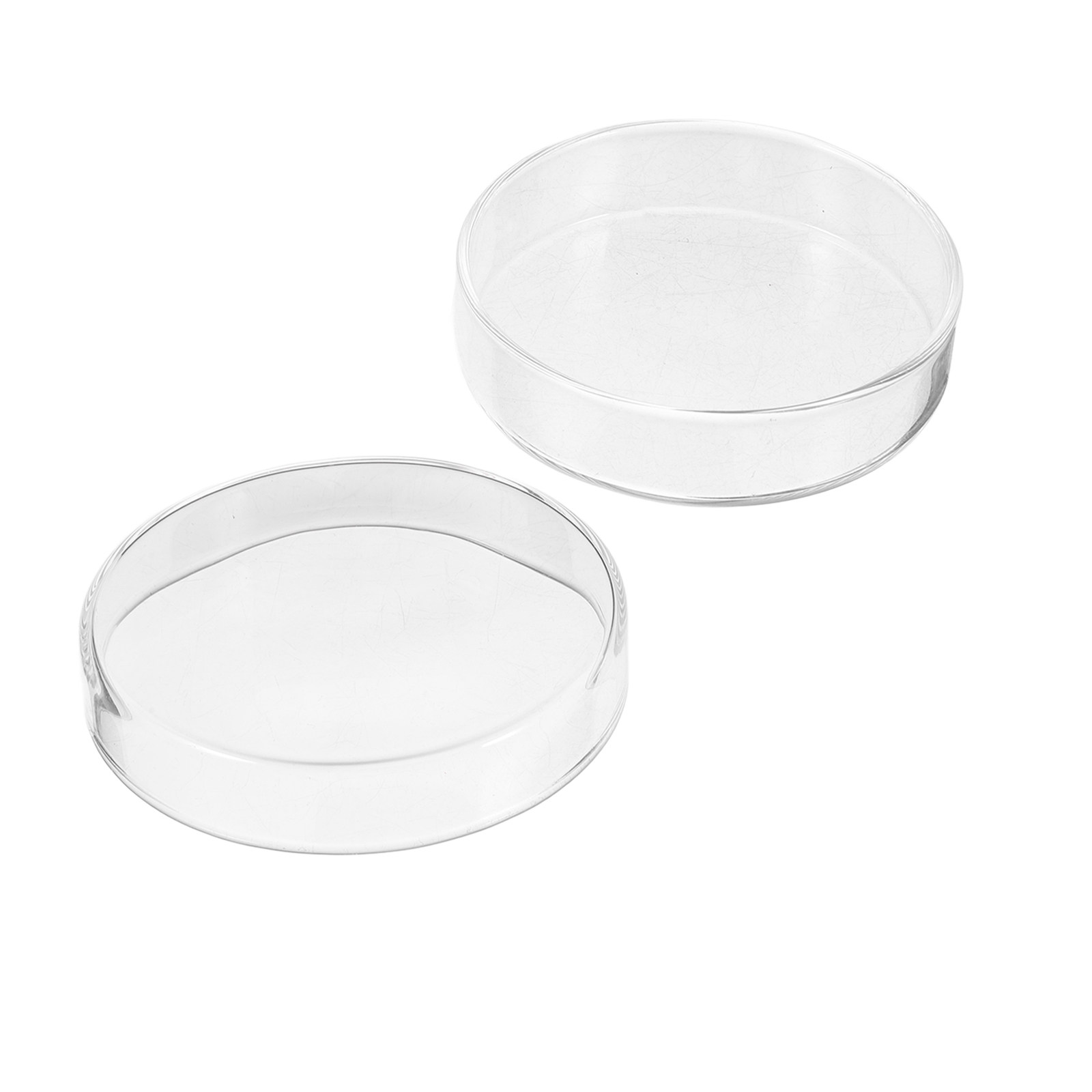 1세트 두꺼운 유리 페트리 접시, 미생물 세포 조직 배 - Agar Tissue Culture 리뷰 및 가격
