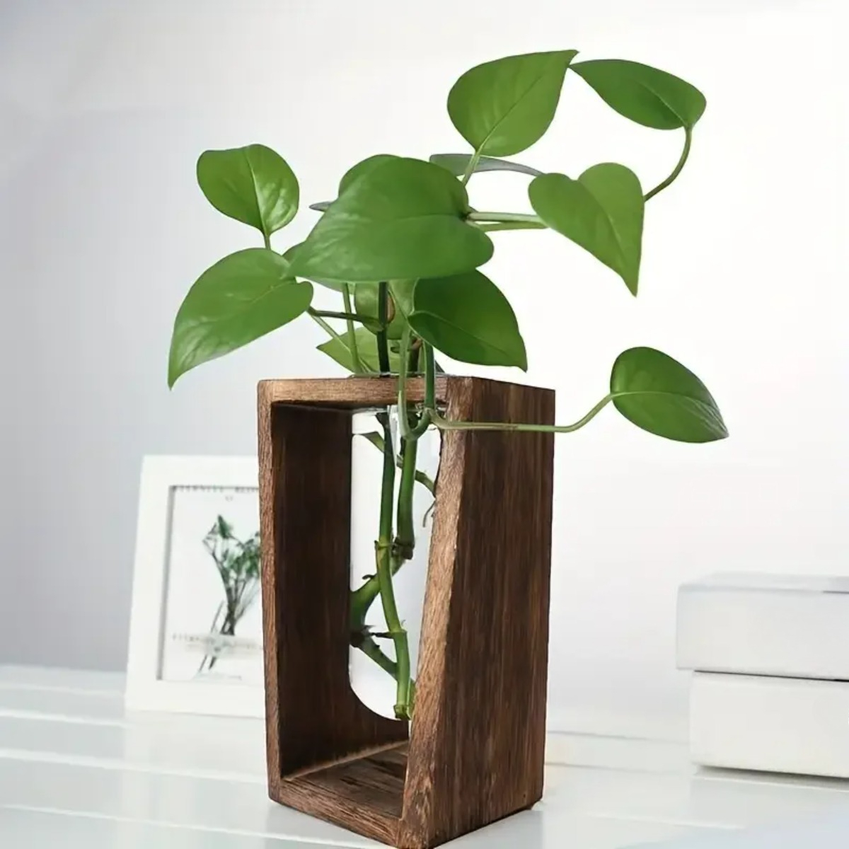 식물 번식 스테이션 수경 재배 화분 나무 화분 현대적인 - Propagation Station Vase 리뷰 및 가격