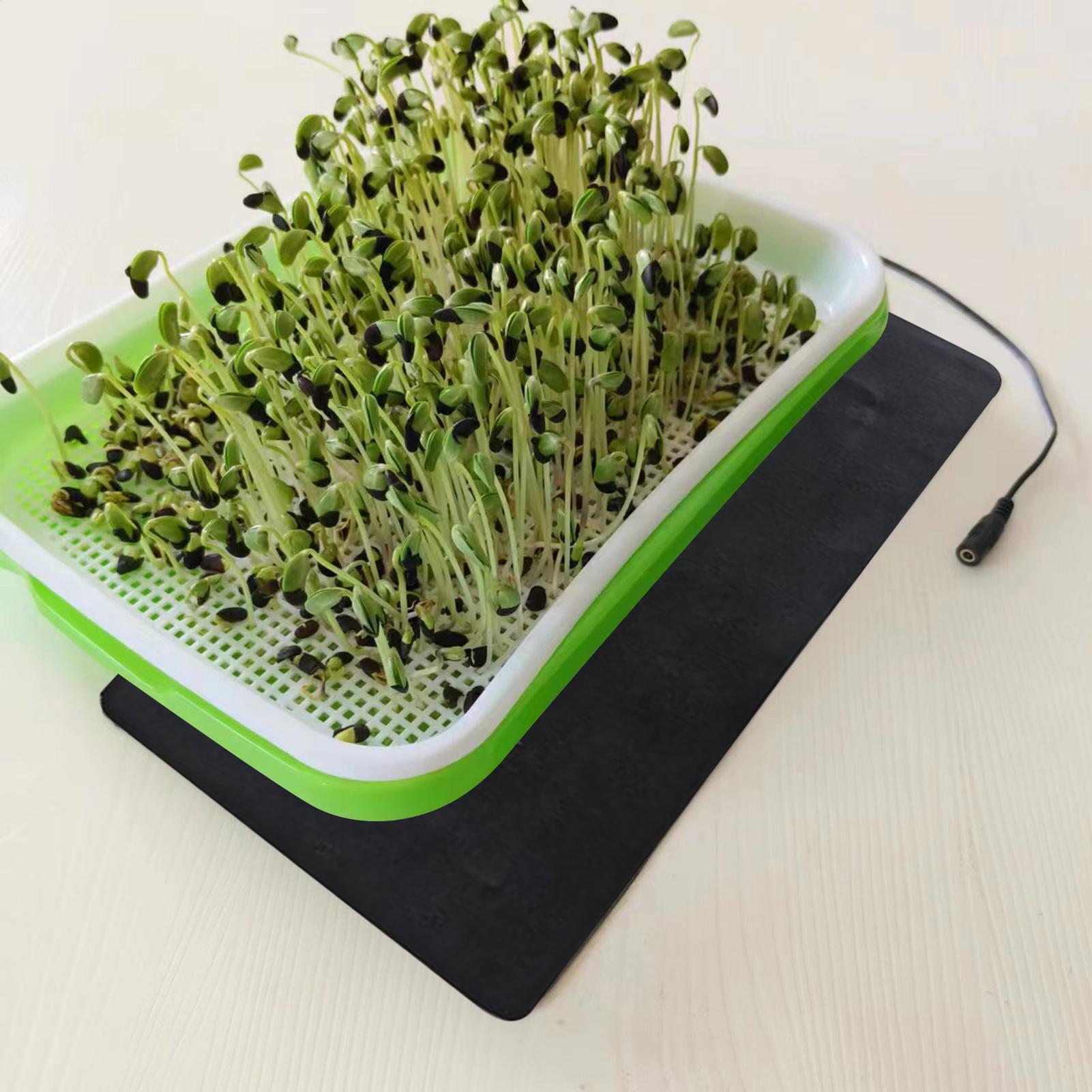 8.5W USB 묘목 열매트 3단계 온도 조절 식물 묘 - Heat Mat Seedling 리뷰 및 가격