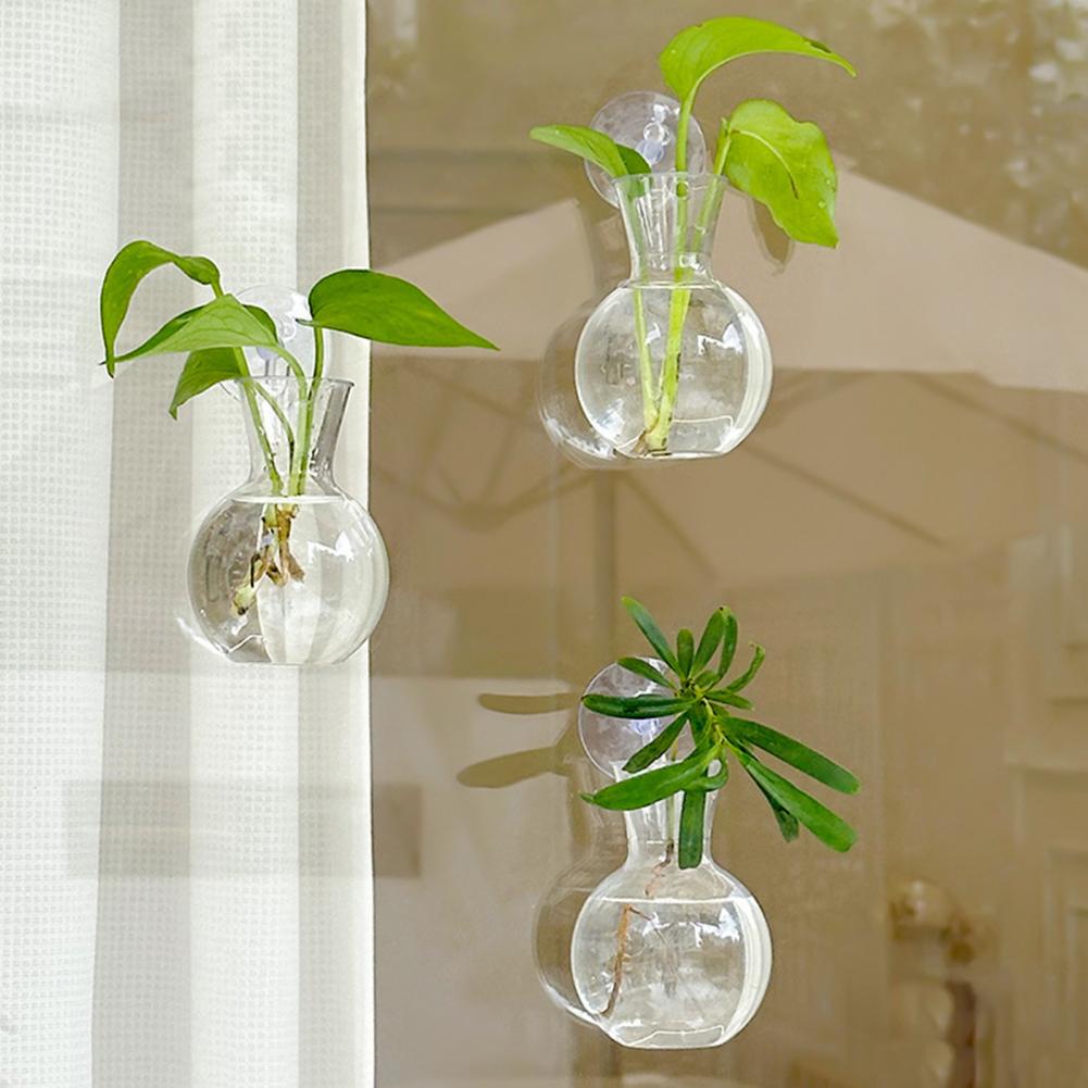 창문 화분 화병 창문 식물 홀더 1/2/3/4/6/8개 - Propagation Station Vase 리뷰 및 가격
