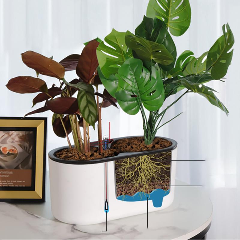 실내 식물 나무 다리 꽃 용기, 미끄럼 방지 통기성 자 - Self Watering Insert 리뷰 및 가격