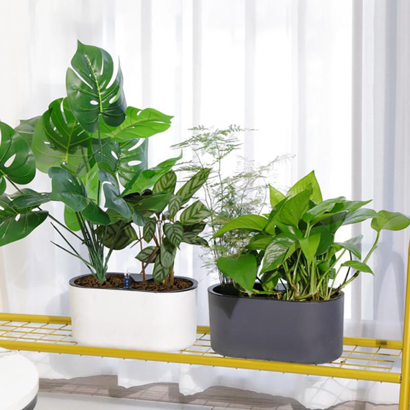 실내 식물 나무 다리 꽃 용기, 미끄럼 방지 통기성 자 - Self Watering Insert 리뷰 및 가격