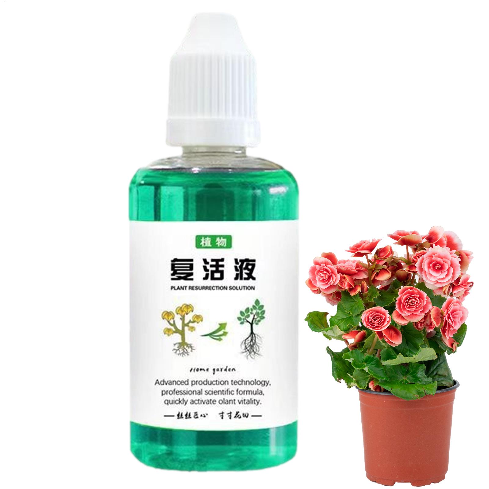 식물용 뿌리 자극제 50ml 식물 성장 촉진제 다육 식 - Root Stimulator Liquid 리뷰 및 가격
