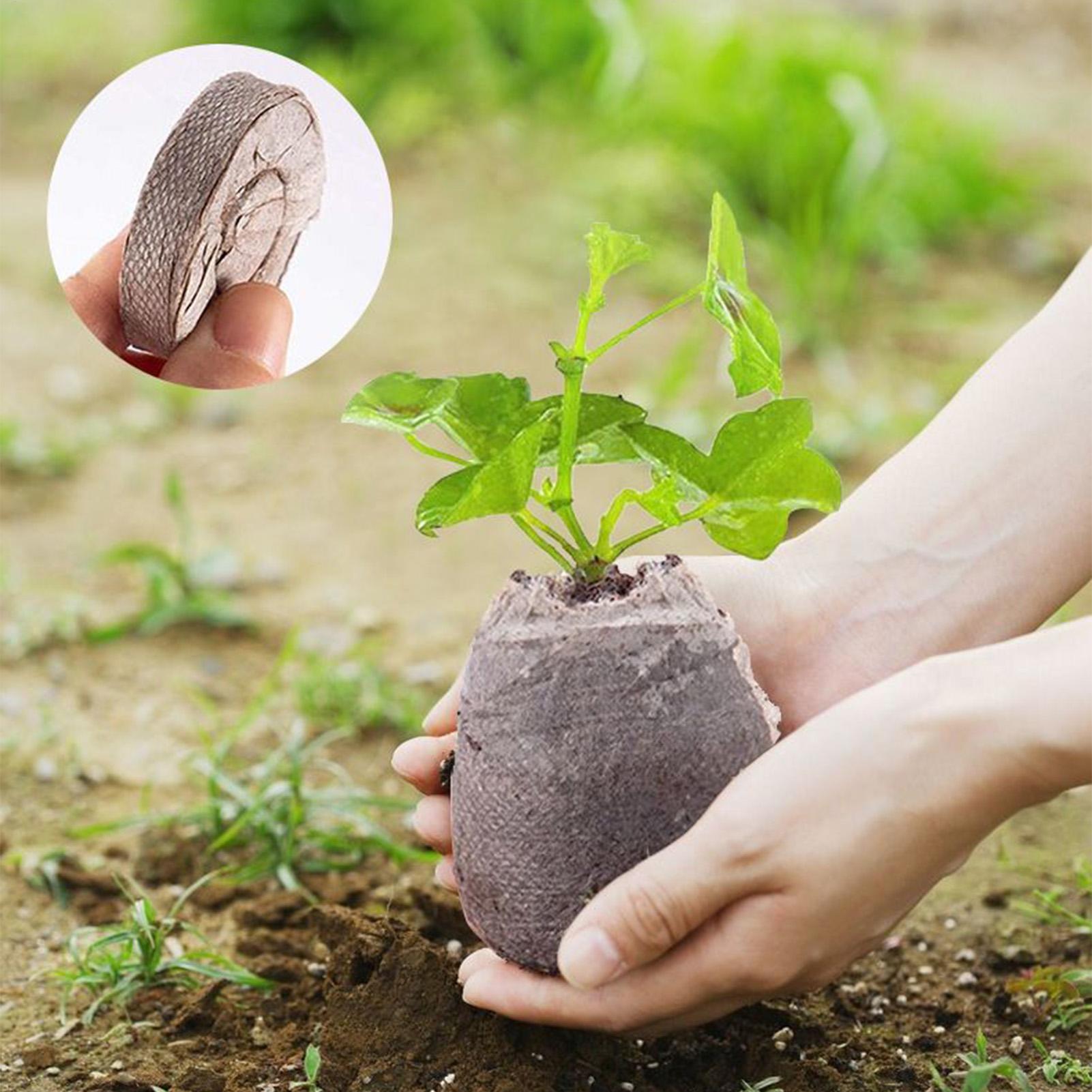 100개 포트팅 믹스 트레이 30mm 토양 펠릿 부직포 - Peat Pellet Tray 리뷰 및 가격