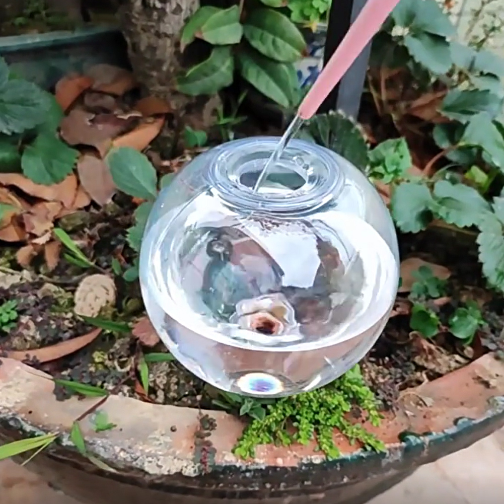 500ML 자동 급수 글로브 점적 관개 시스템 자동 급 - Self Watering Insert 리뷰 및 가격