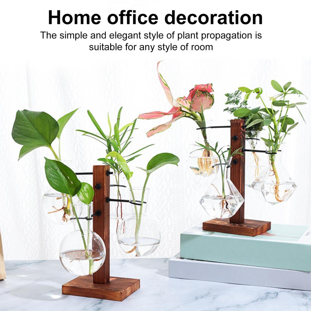1 세트 10*25cm 식물 전파 스테이션 4 유리 꽃 - Propagation Station Vase 리뷰 및 가격