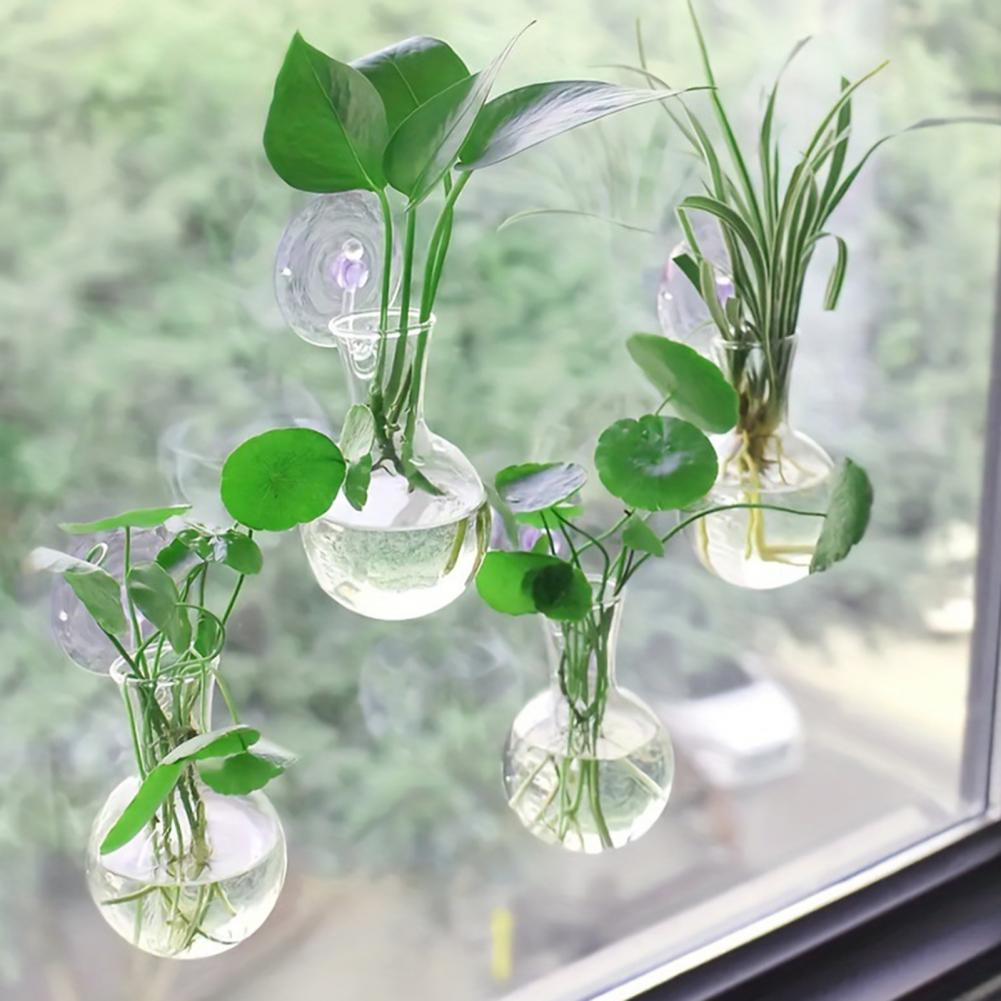 1/2/3/4/6/8개들이 식물 번식용 흡착컵이 있는  - Propagation Station Vase 리뷰 및 가격