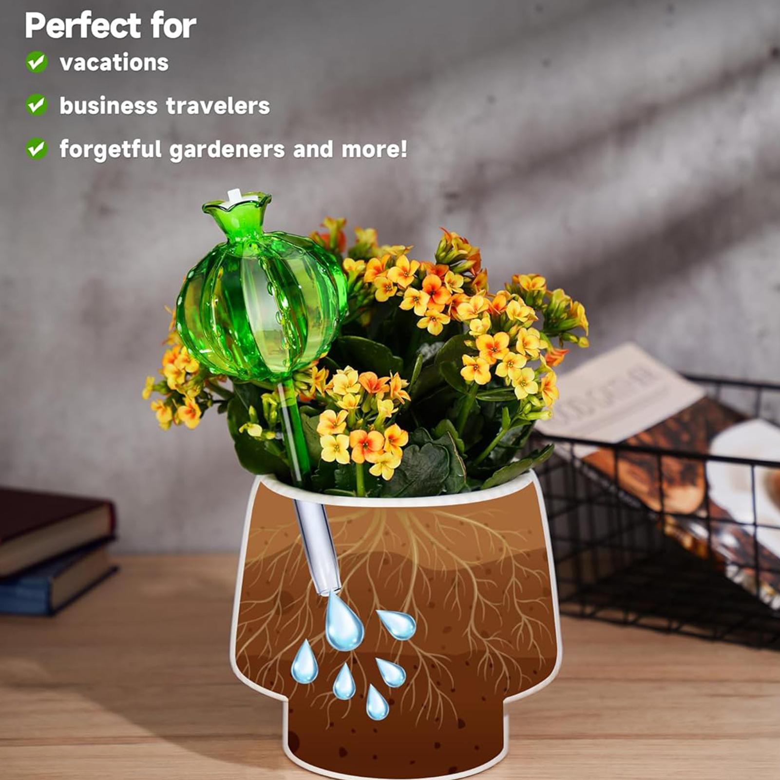 식물 급수 스테이크 3개, 느린 방출 방식, 휴가철 관 - Self Watering Insert 리뷰 및 가격