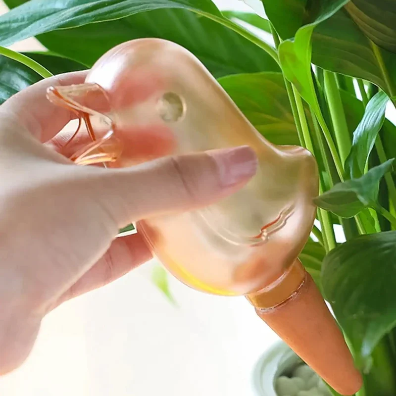고품질 자동 꽃 waterer 식물 waterer 자체 - Self Watering Insert 리뷰 및 가격