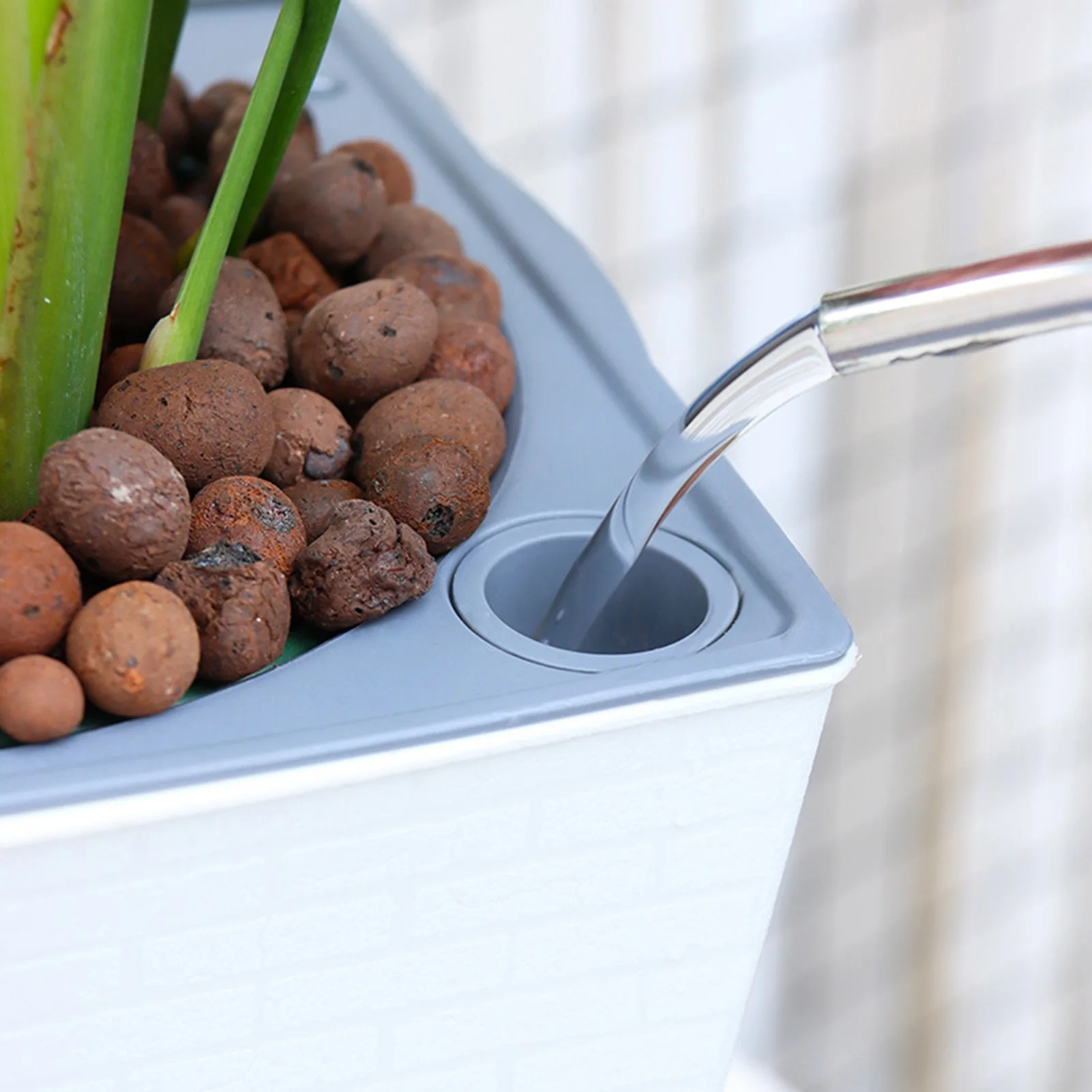 셀프 급수 화분 수제 셀프 급수 식물 꽃 냄비 물 컨테 - Self Watering Insert 리뷰 및 가격