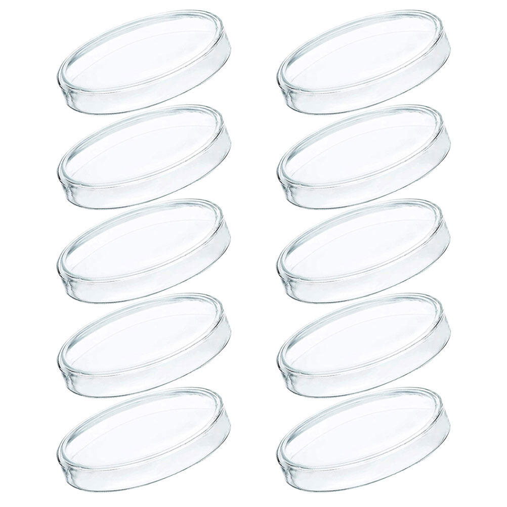 10Pcs 플라스틱 페트리 접시 투명 투명 100Mm  - Agar Tissue Culture 리뷰 및 가격