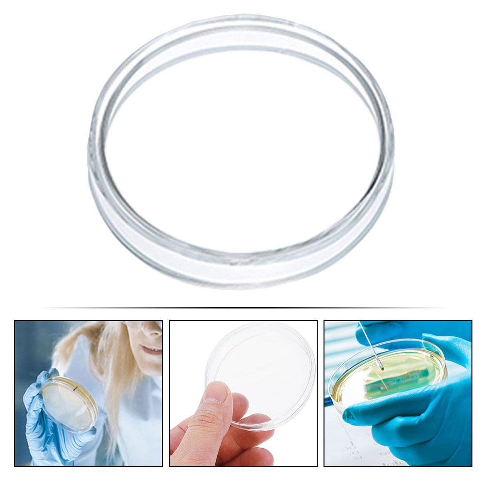 10Pcs 플라스틱 페트리 접시 투명 투명 100Mm  - Agar Tissue Culture 리뷰 및 가격