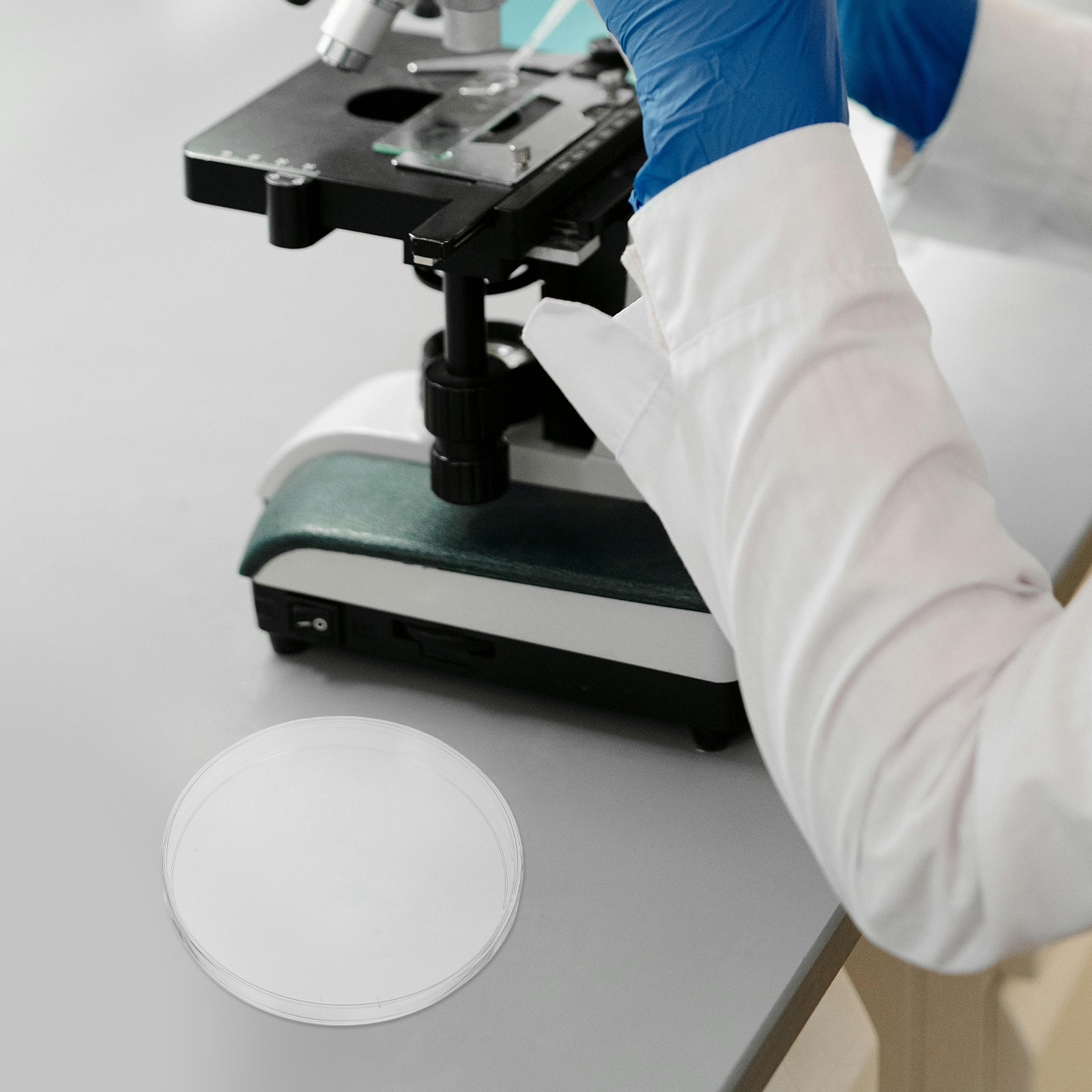 10Pcs 실험실 페트리 접시 투명 플라스틱 페트리 접 - Agar Tissue Culture 리뷰 및 가격