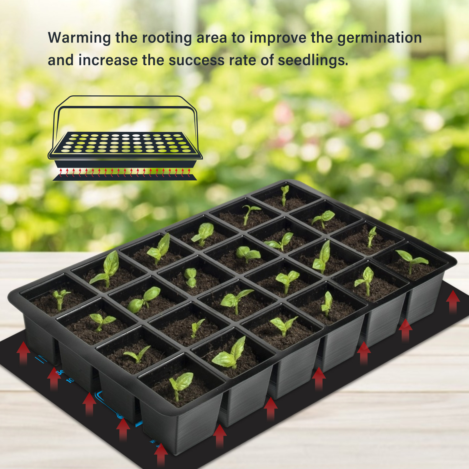 20.75x10CM EU/US/UK/AU 플러그 모종  - Heat Mat Seedling 리뷰 및 가격