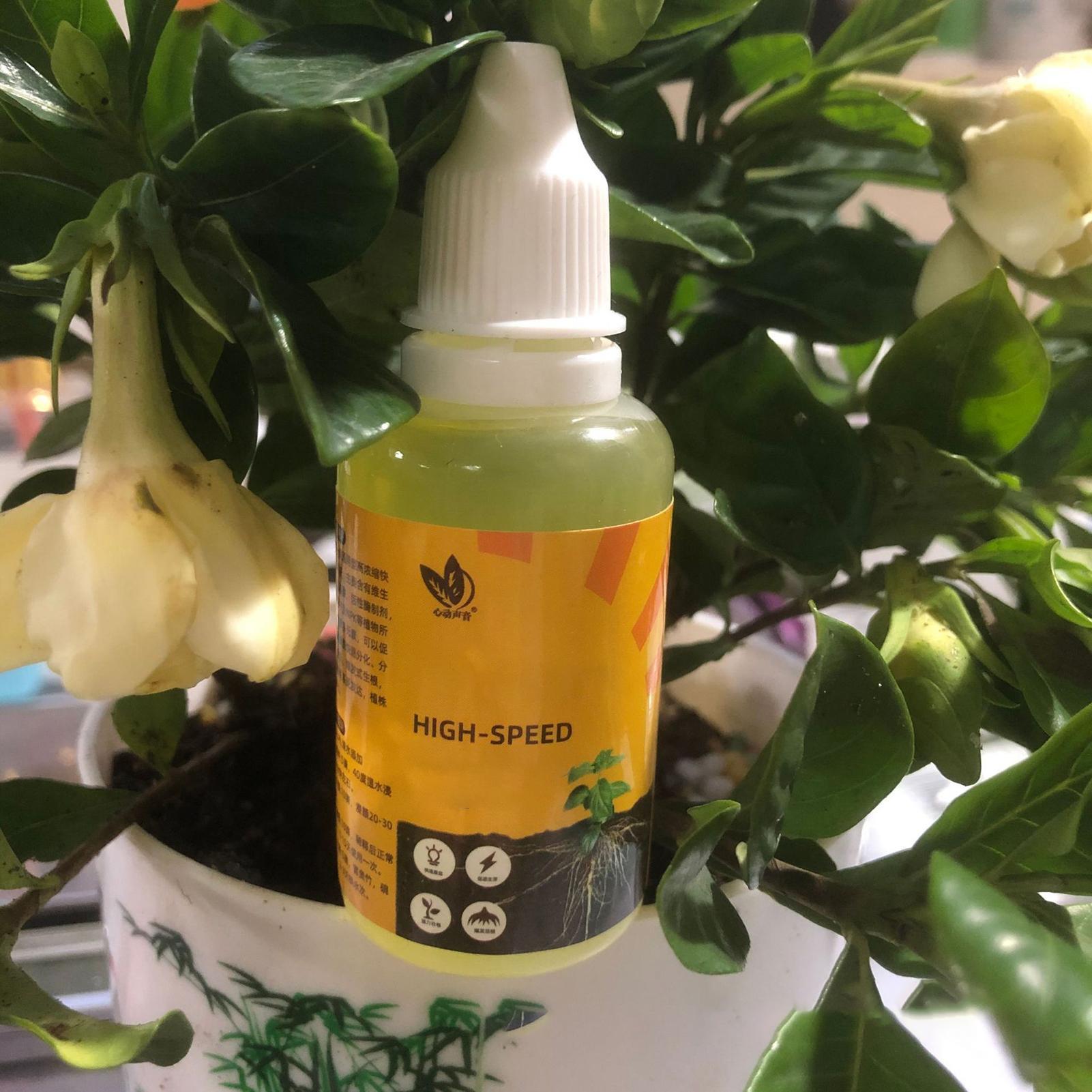 빠른 발아와 개화 촉진을 위한 식물 영양액 보충제 정원 - Root Stimulator Liquid 리뷰 및 가격